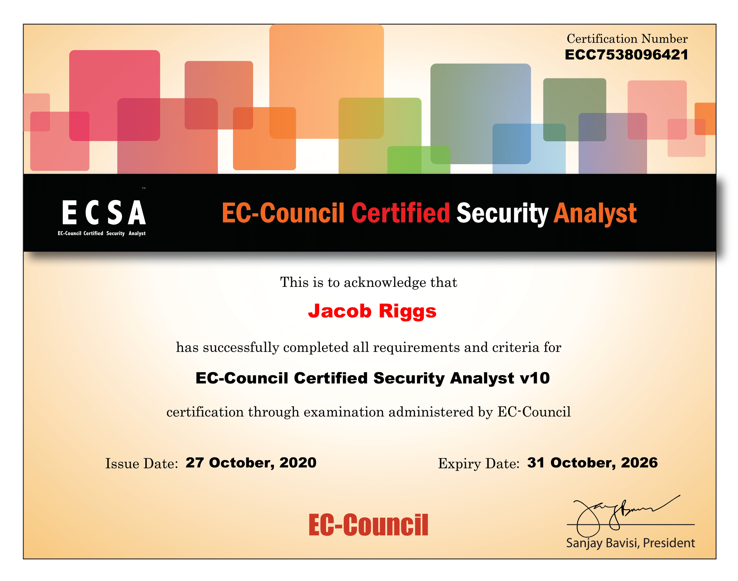 ECSA Certificate