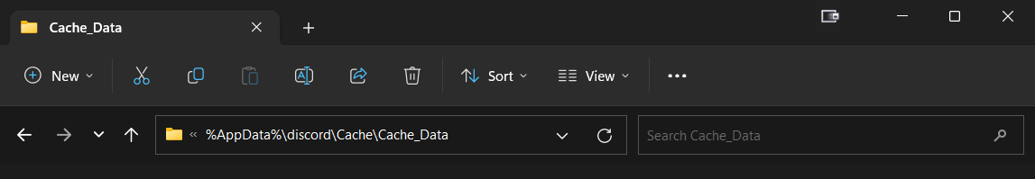 Discord Cache Path