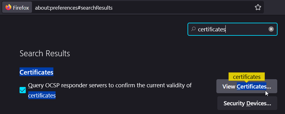 Firefox Import Burp CA