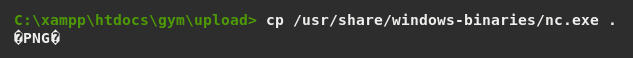 Upload Netcat