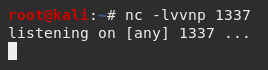 Netcat Listener