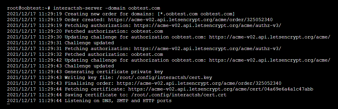 Start the Interactsh server