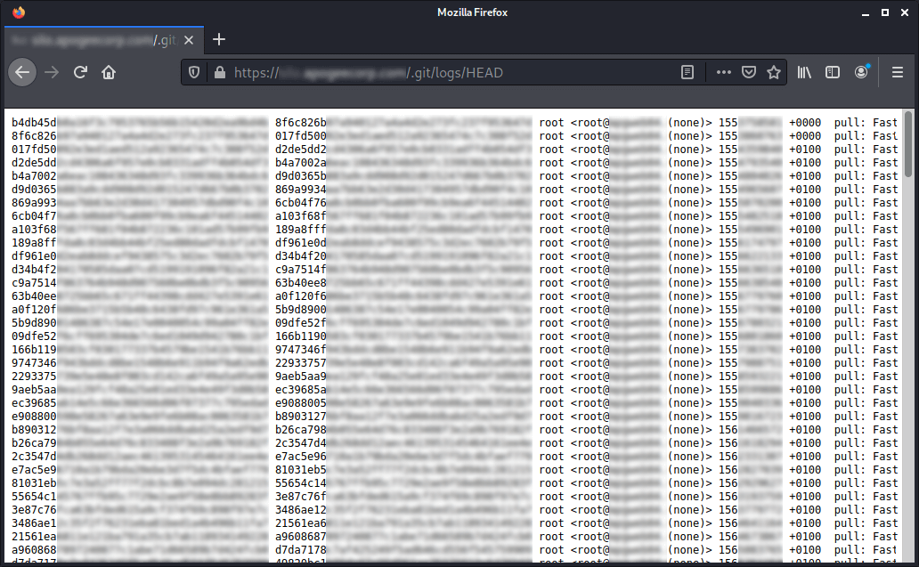 Screenshot of git logs